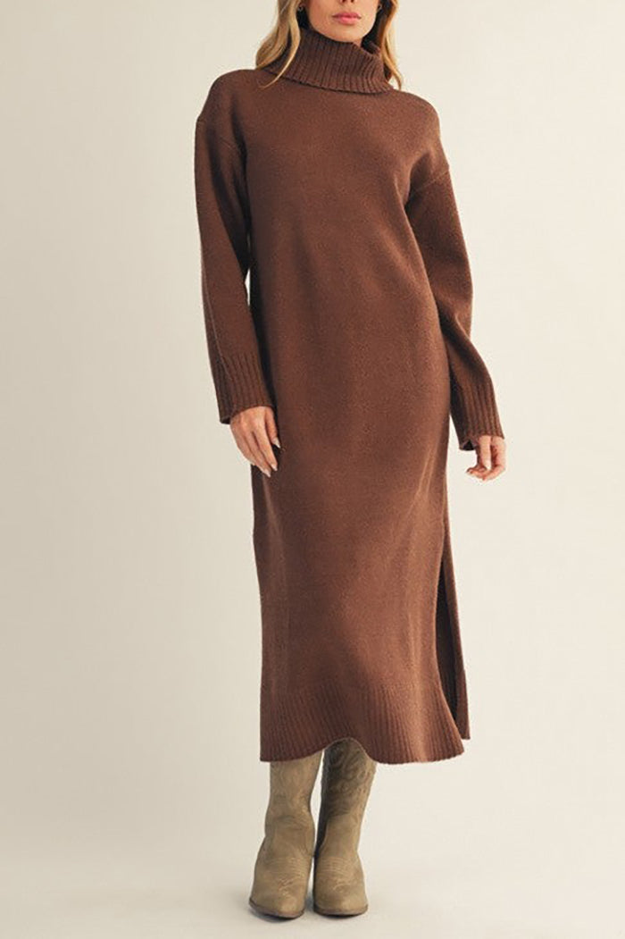 Long Sleeves Turtleneck Sweater Dress