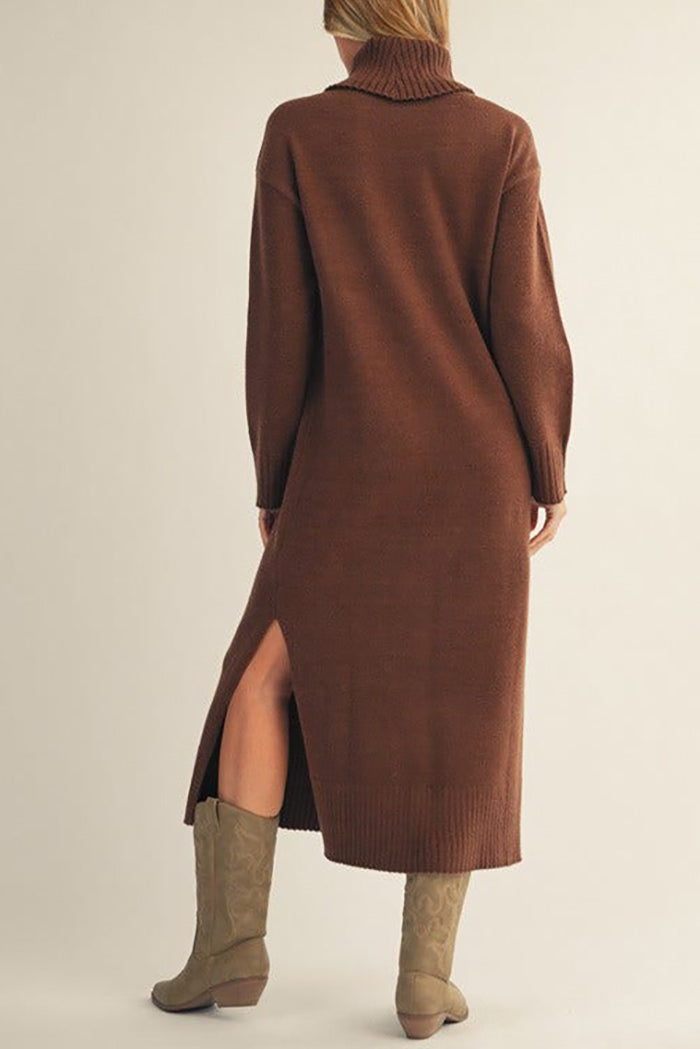 Long Sleeves Turtleneck Sweater Dress