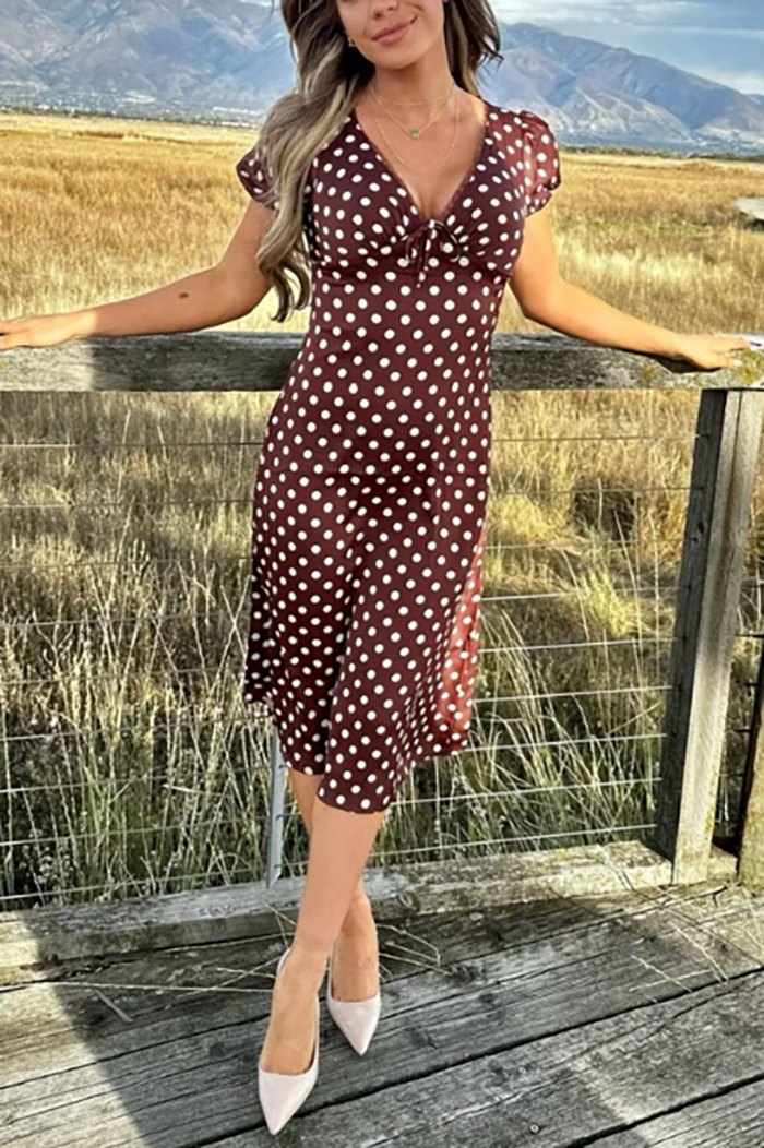 Casual Polka Dot V-Neck Dress